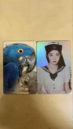 2026年最新】アイリーン cosmicの人気アイテム - メルカリ