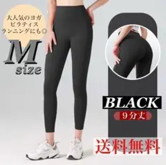 Item thumbnail for item a529188b-2b79-4e5f-b44e-fa4bf8677344