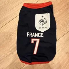犬用 サッカー フランス代表 ユニフォーム風ウェア 7番　XSサイズのサムネイル