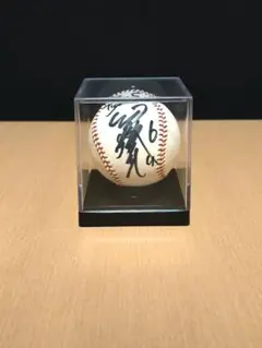 2026年最新】サインボール 金本の人気アイテム - メルカリ