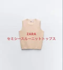 ZARAセミシースルーニットトップス