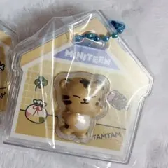 2026年最新】ミニティーン seventeen キーホルダーの人気アイテム