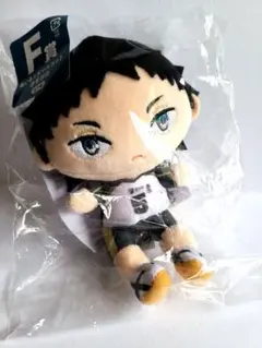 ハイキュー!!　赤葦京治　まとめ売り　ぬいもっち　ぴょんコレ　他