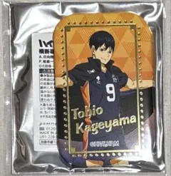 2026年最新】ハイキュー!! スクエア缶バッジ セブンネットの人気