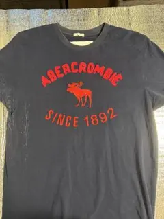 Abercrombie & Fitch ネイビー Tシャツ L