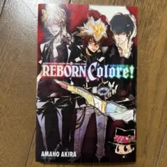 REBORN Colore! ver.ANIMATION - メルカリ