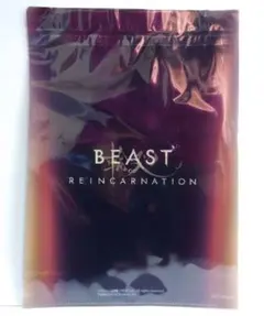 BEAST OF REINCARNATION クリアファイル　★早期購入特典★