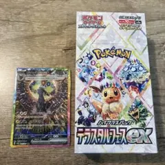 2025年最新】テラスタルフェスex BOXの人気アイテム - メルカリ