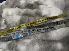 We are ARASHI 嵐 銀テ 2026ライブ