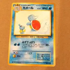 旧裏 ポケモンカード イントロパック カメール LV.24 HP70 - メルカリ
