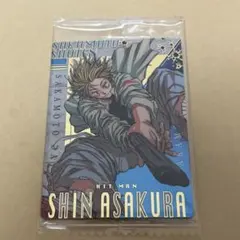 朝倉シン ウエハース