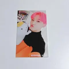 SEVENTEEN セブチ ホシ トレカ 会場限定 ぬいぐるみ HMV