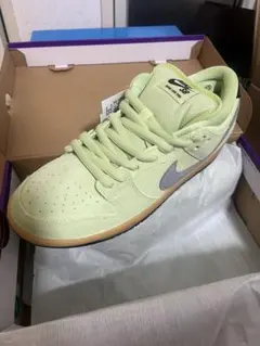 Nike SB Dunk Low Pro 