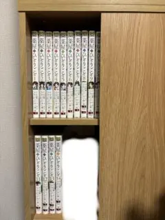 薬屋のひとりごと　1-14巻セット