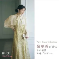 AIMER 2WAYブラウス付マーメイドラインドレス 泉里香さん着用のサムネイル