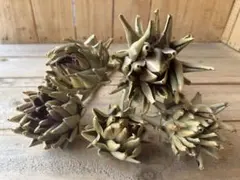 Naoko様 リクエスト 3点 まとめ商品