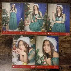 井上和 2024 Christmas 乃木坂46 生写真 コンプ クリスマス