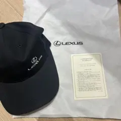 Item thumbnail for item e588999b-8c75-4ebd-97d8-3d00e49ed709