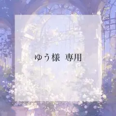 プレインシート 専用