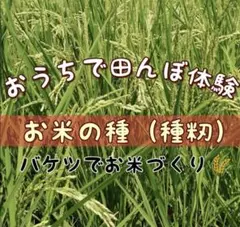 ボンみもじ様 リクエスト 3点 まとめ商品
