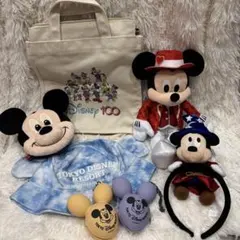 ディズニーストア 渋谷公園通り限定 ミッキー ミニー ぬいぐるみ キー