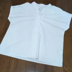 Item thumbnail for item 0dbb905c-1808-490b-aa55-e43806d6b95e