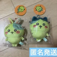 2026年最新】ちいかわ 仮装たのしい～!マスコット(ゾンビなちいかわ)の
