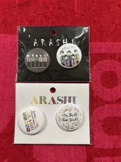 嵐を旅する展覧会ARASHI イラストピンバッジセット2個