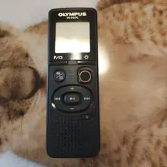 Item thumbnail for item 0e741c6b-8813-4bbc-a5c5-1b47bb67fc70