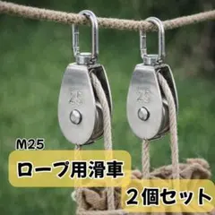 Item thumbnail for item 54a583d5-fcb7-40f0-8269-e699d2803c3e