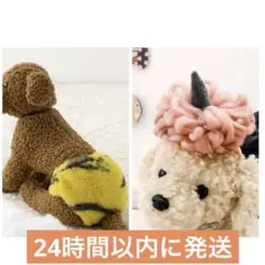 スリーコインズ　節分　ペット用鬼のパンツ　鬼のウィッグ　2点セット