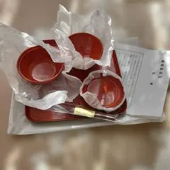 お食い初め用 赤いお椀と皿セット