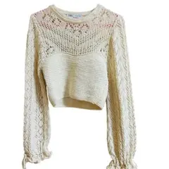 ZARA ザラ　クロップドメッシュニット　ショート丈　トップス　アイボリー　L