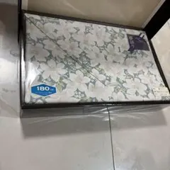 Item thumbnail for item d5788e9c-3ac2-45d0-b978-88c17dd372ce