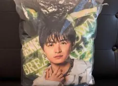 佐野玲於 GENERATIONS 実写クッション