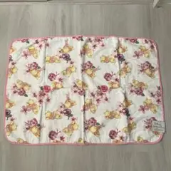 Disney プーさん＆ピグレット　ブランケット ガーゼ地