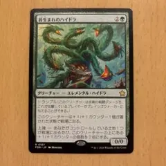 苔生まれのハイドラ/Mossborn Hydra[FDN]