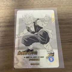 Apt-009 孫悟飯青年期　パラレル