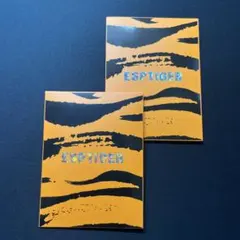 【未開封】ESPTIGER ICE V2 汎用マウスソール 2セット(80粒)