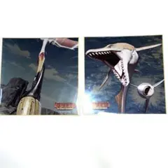 Item thumbnail for item 00756b55-c20b-42d4-bb78-ff1b12997e2a