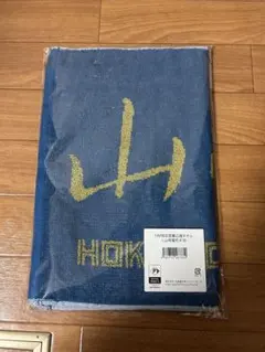 山﨑福也 応援グッズ