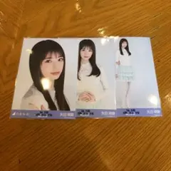 Item thumbnail for item 94700bf0-6928-4cf3-99ac-b465b3dc8de4