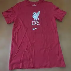 NIKE リヴァプールFC エヴァーグリーンクレストTシャツ S