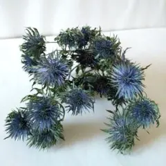 まか(断捨離中)様 リクエスト 4点 まとめ商品