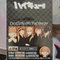 ハイキュー！！キャラバッジコレクション 応援団 全10種ボックス