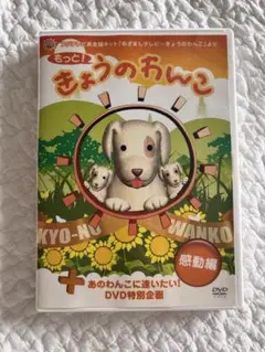 きょうのわんこ　感動編
