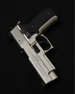 2026年最新】タナカ P226の人気アイテム - メルカリ