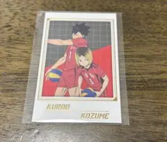 ハイキュー キャラポトレ 黒尾 孤爪