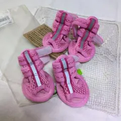 Item thumbnail for item b126b2ba-6b29-4baf-9fc8-6a2afe5a6bd6