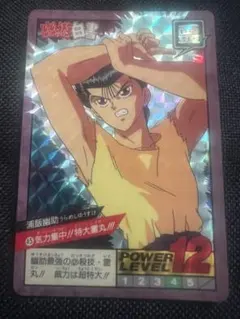2026年最新】幽遊白書 カードダス ファイルの人気アイテム - メルカリ